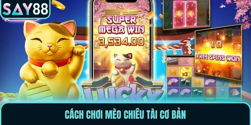 Cách chơi Mèo Chiêu Tài cơ bản