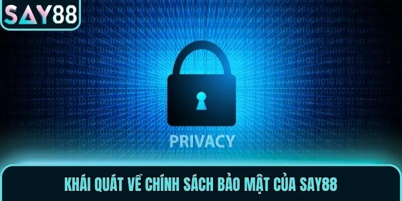 Khái quát về chính sách bảo mật của Say88